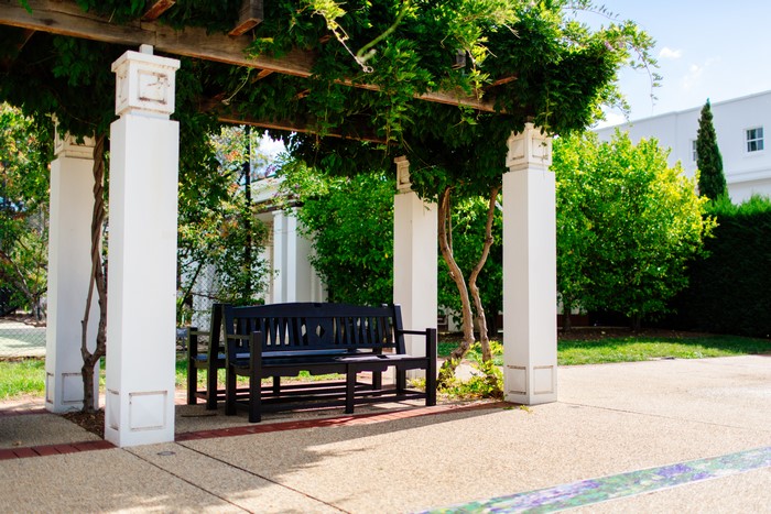 Park bench under a pergola with greenery