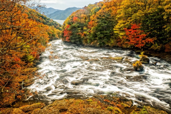 4K Autumn River with Colorful Trees