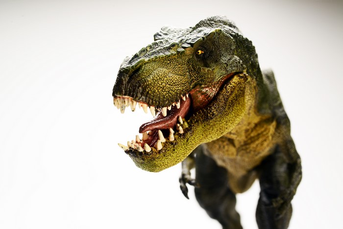 Tyrannosaurus Rex Dinosaur