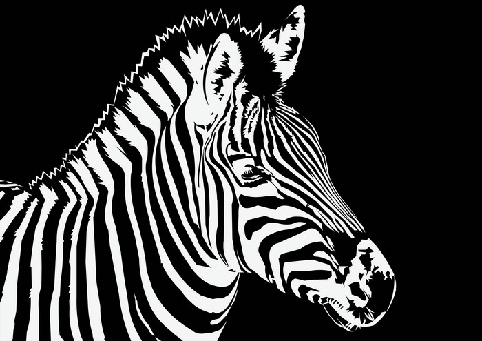 4K Vector Graphic Painting of a Zebra