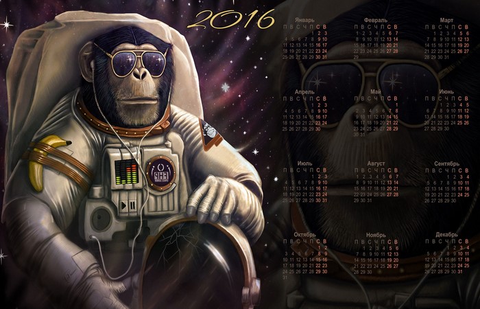Monkey astronaut with 2016 calendar