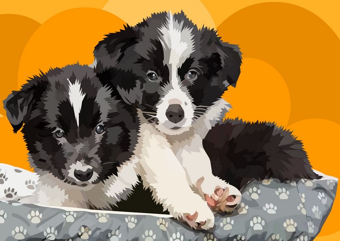 Two Border Collie Puppies in a Dog Bed