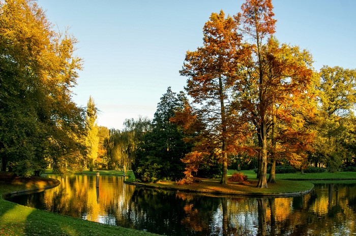 Autumn park with pond and trees in Vught, Netherlands