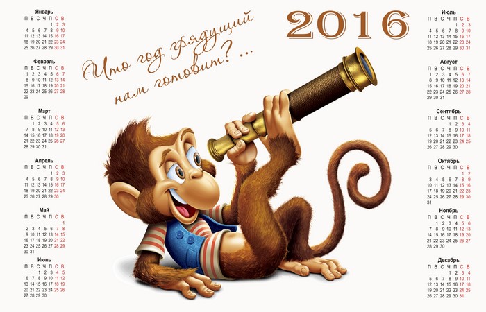Monkey with telescope and 2016 calendar