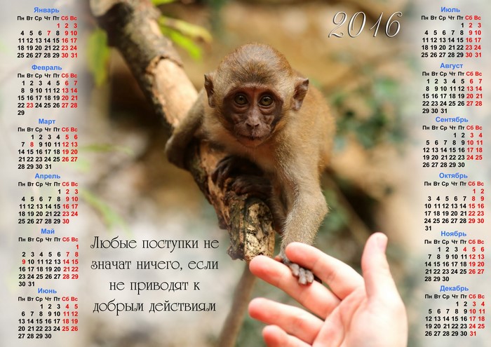 2016 Calendar with Monkey and Quote
