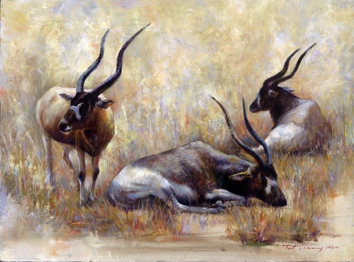 Painting of Three Antelopes with Horns