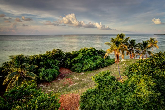 Bahia Honda State Park Florida Coastline with Palm Trees