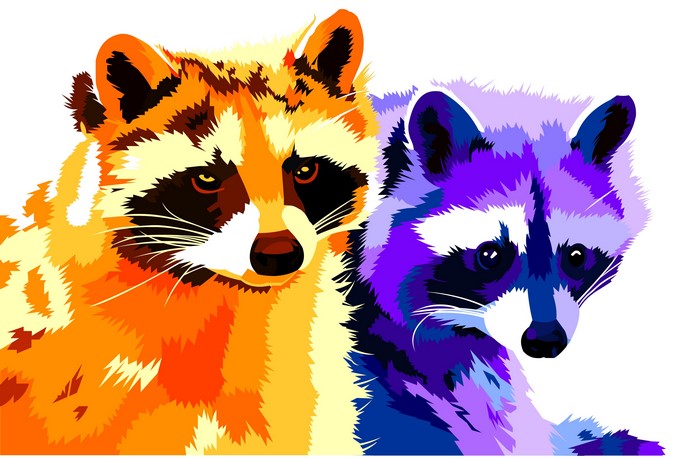 Two Raccoons Vector Art