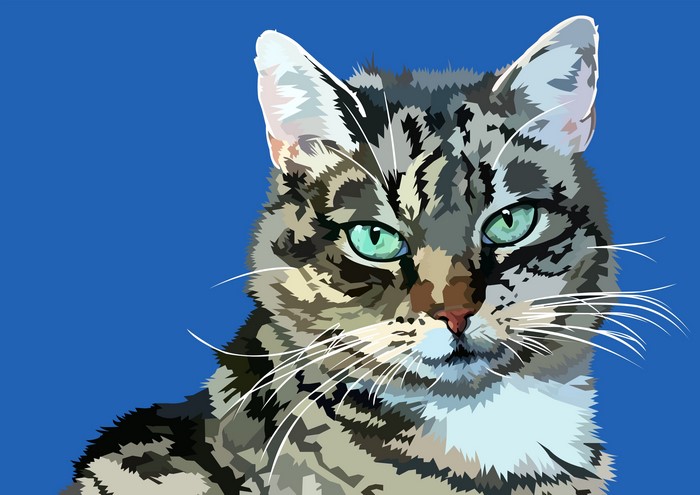 Tabby Cat with Green Eyes