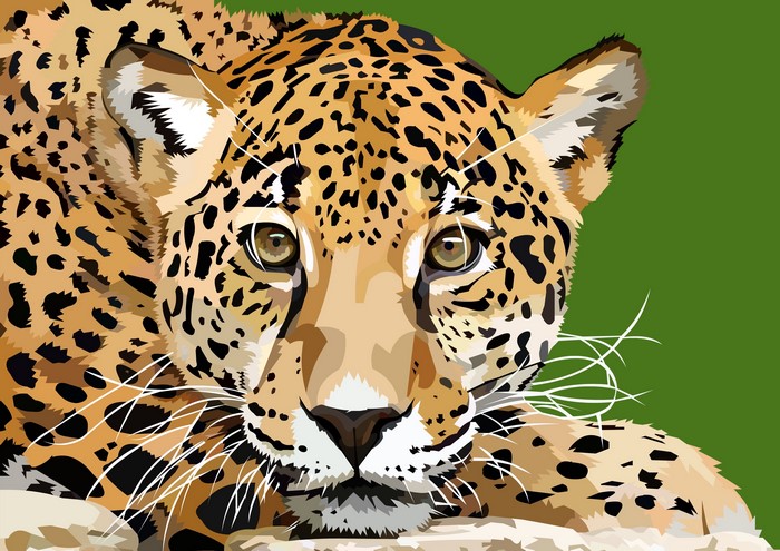 Jaguar's face with spotted fur and green background