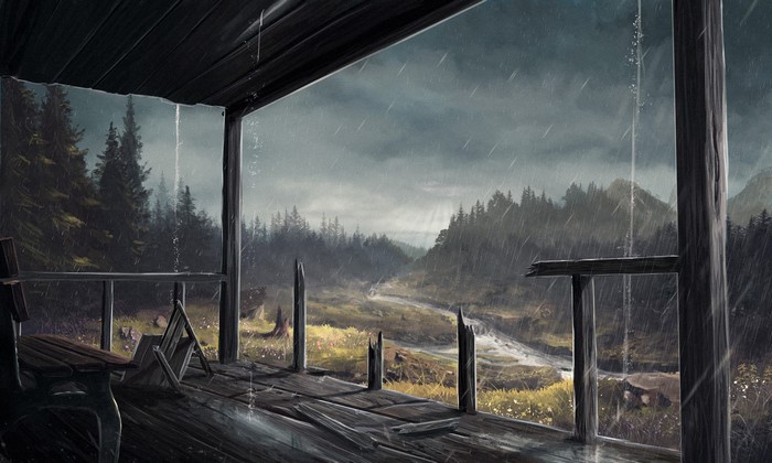 Rainy Forest View from Wooden Porch