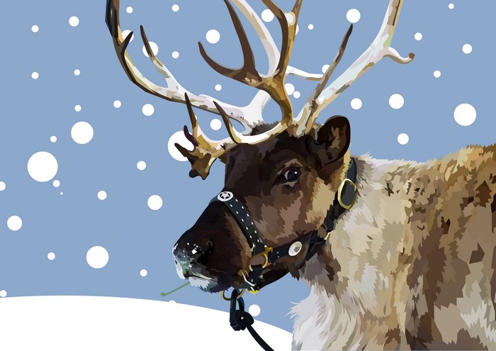 Reindeer in a Snowfall