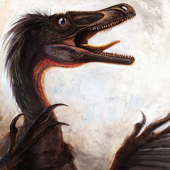 Velociraptor mongoliensis dinosaur portrait