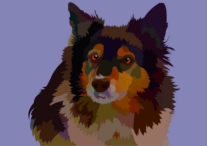 Vector portrait of a Border Collie dog