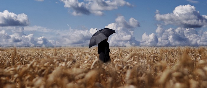 Person with umbrella in wheat field under clouds