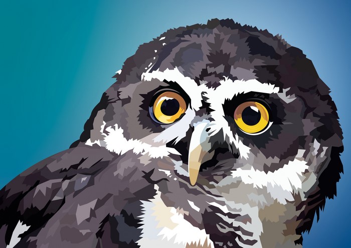 Close-up vector art of an owl's face