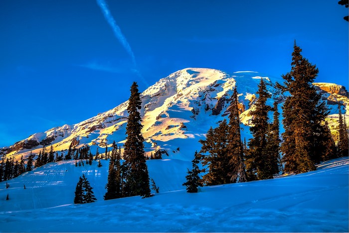 Snowy Mountain Peak with Evergreen Trees