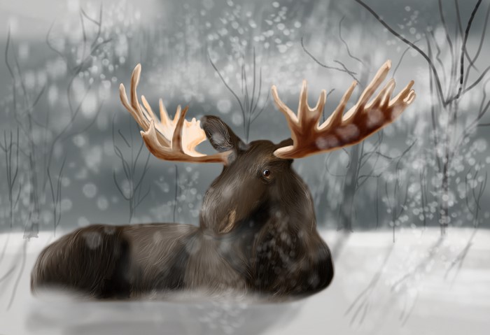 Moose with large antlers in a snowy forest painting