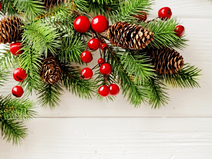 Christmas branches with pine cones and red berries