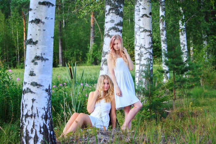 Two blonde girls in white dresses in a birch forest