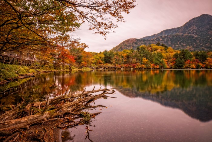 Autumn Reflection on Nikko Pond in Japan