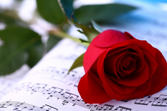 Red Rose on Sheet Music