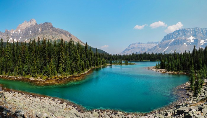 Turquoise lake surrounded by pine forest and mountains in Yoho National Park