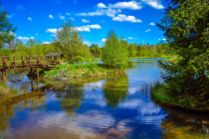 Wooden bridge over a calm lake with trees and clouds