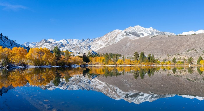 Autumn trees reflecting in a mountain lake