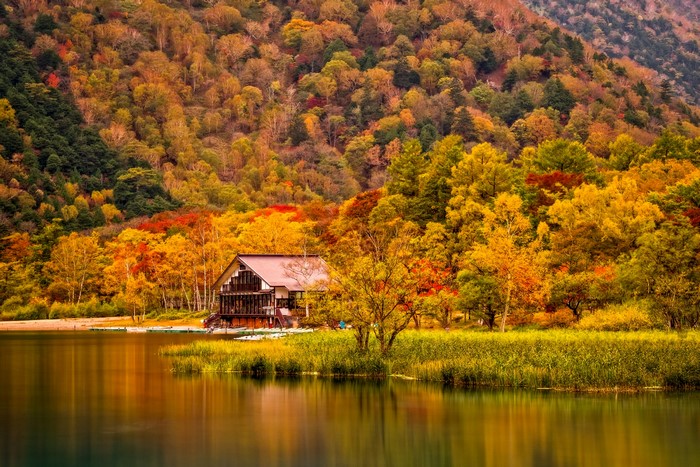 House by a lake in autumn forest