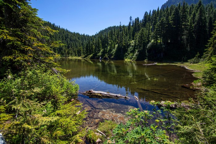 Summit Lake in Alaska Forests