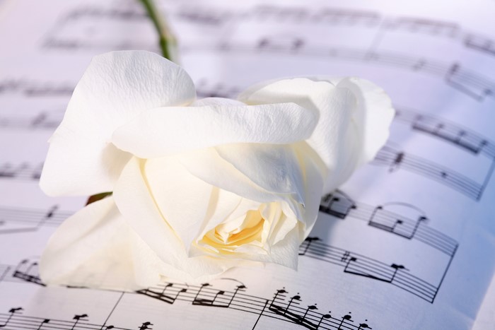White Rose on Sheet Music