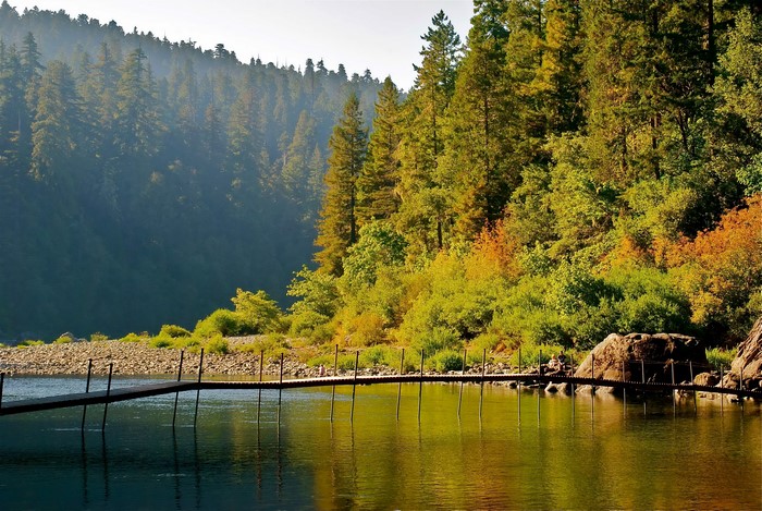 Wooden pier on a lake with a forest background