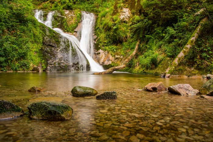 Waterfall in a forest with stones and river