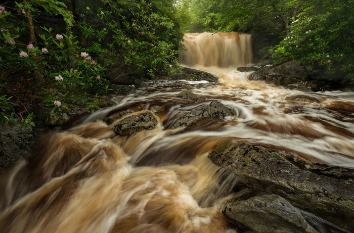 Big Run River Waterfalls West Virginia Rhododendron
