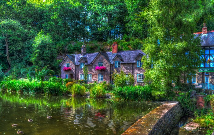 Stone houses by a pond with ducks in Lymm, England