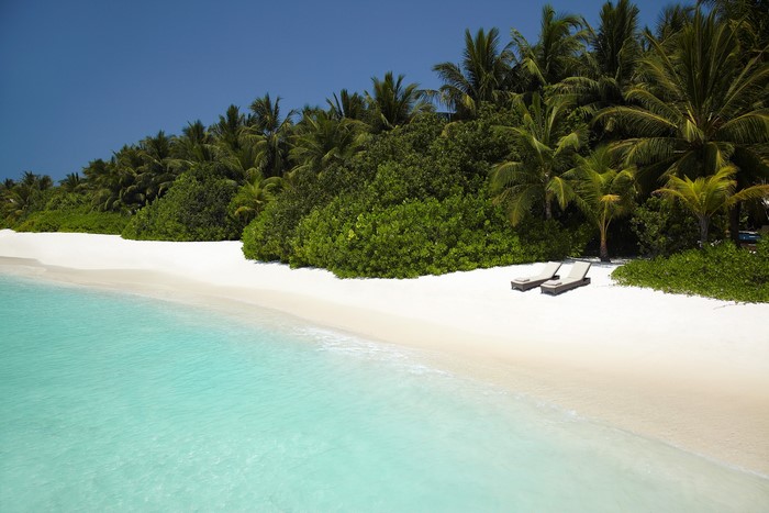 Tropical beach with palm trees and lounge chairs