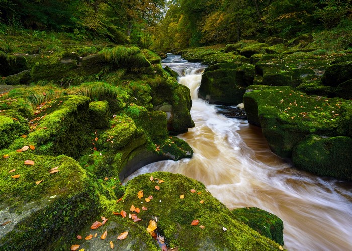 River Wharfe flowing through moss-covered rocks in Yorkshire Dales