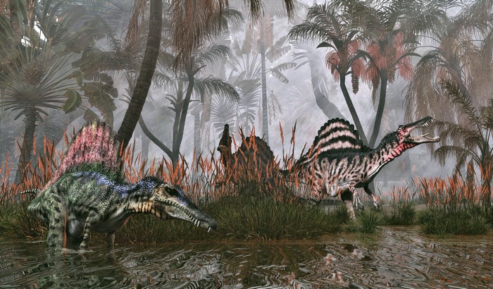 4K Spinosaurus Dinosaurs in Swampy Jungle