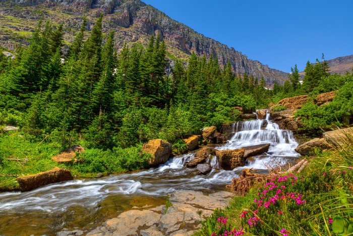 Mountain Waterfall and River with Pine Trees and Flowers