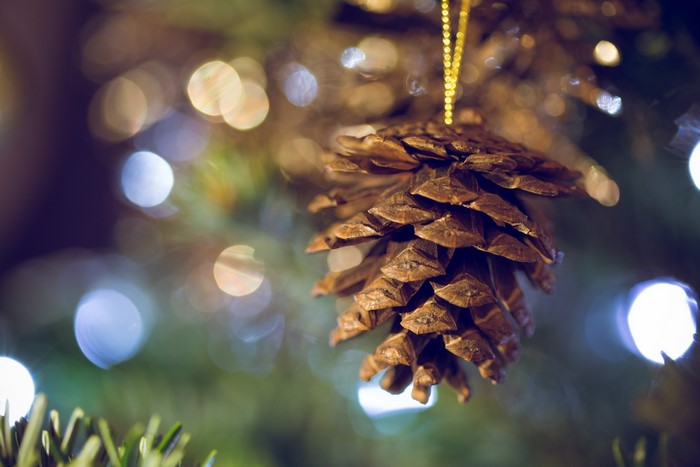 Pine cone ornament on a Christmas tree