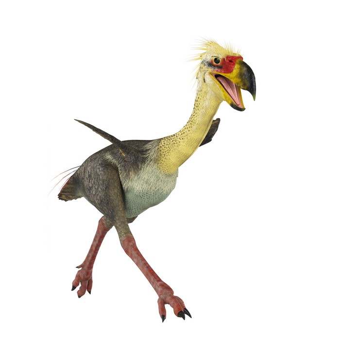 Phorusrhacos running, ancient animal