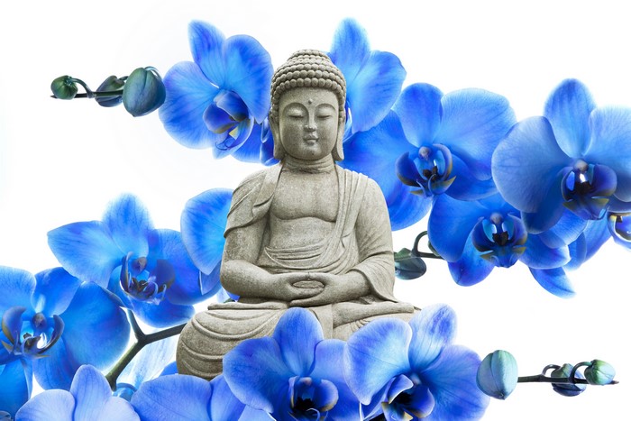 4K, Orchid, Sculptures, Buddha, HD Wallpaper | Rare Gallery