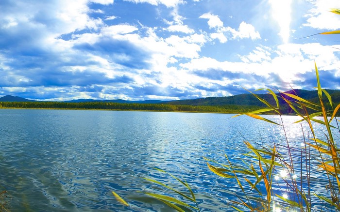 Lake with reeds and mountains under a cloudy sky
