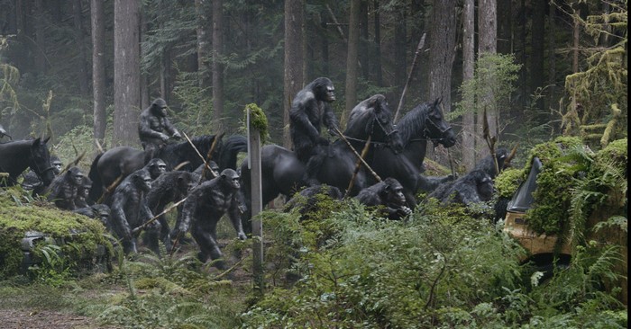 Monkeys on horses in a forest