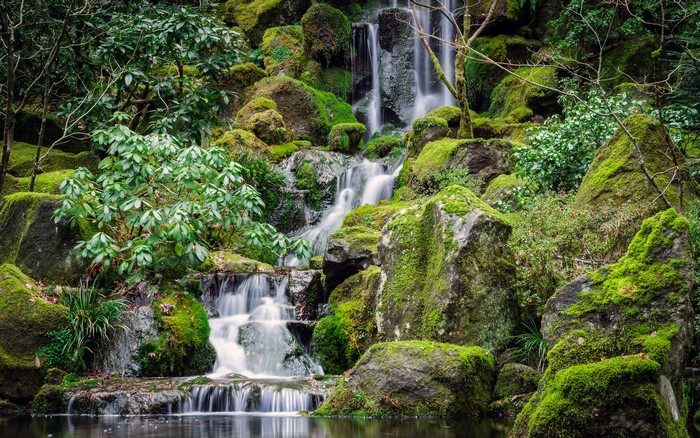 Mossy rocks and a cascading waterfall in a forest