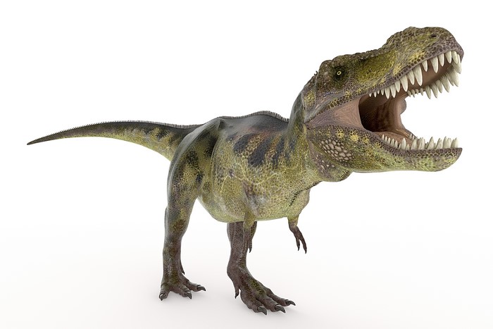 Tyrannosaurus Rex Dinosaur Roaring