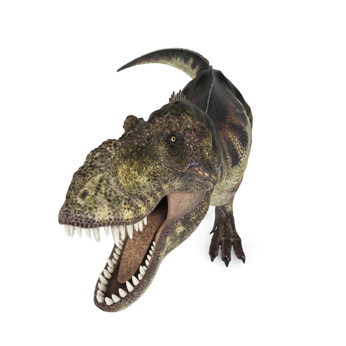 Tyrannosaurus Rex Dinosaur
