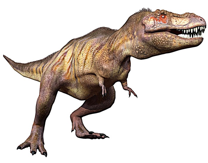 Tyrannosaurus rex dinosaur
