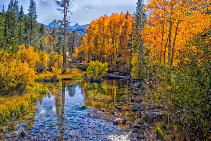 Autumn river flowing through mountains with colorful trees